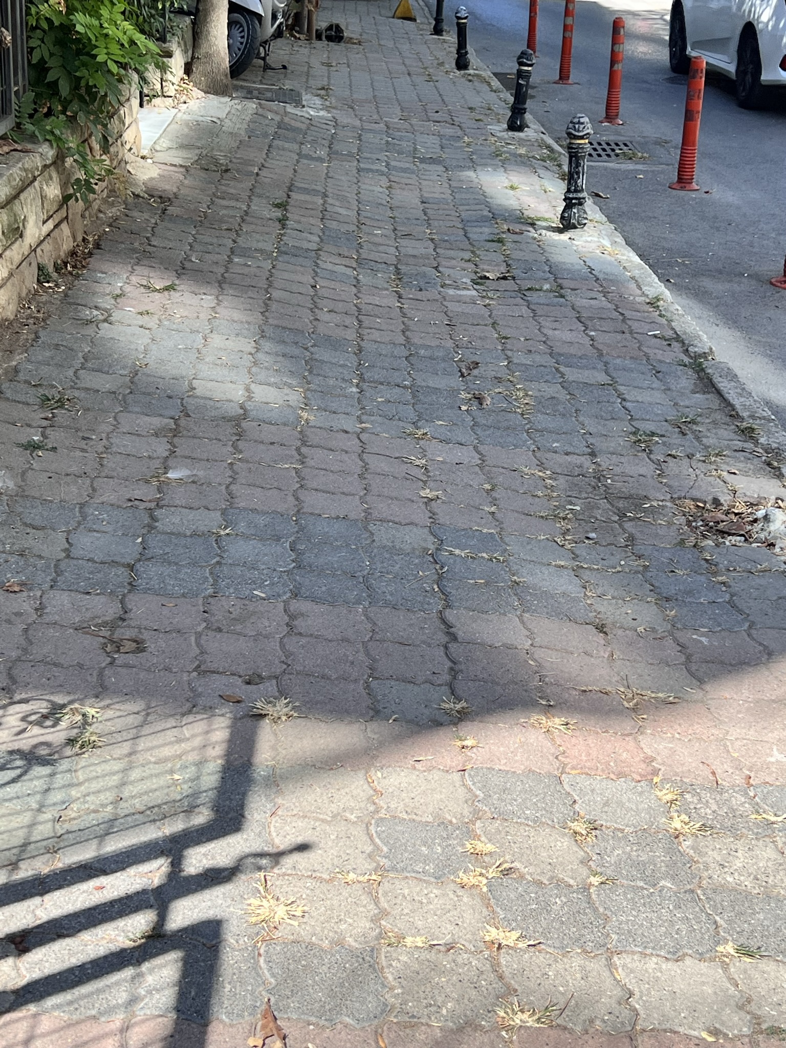 Photo of uneven sidewalk and parking bollards
