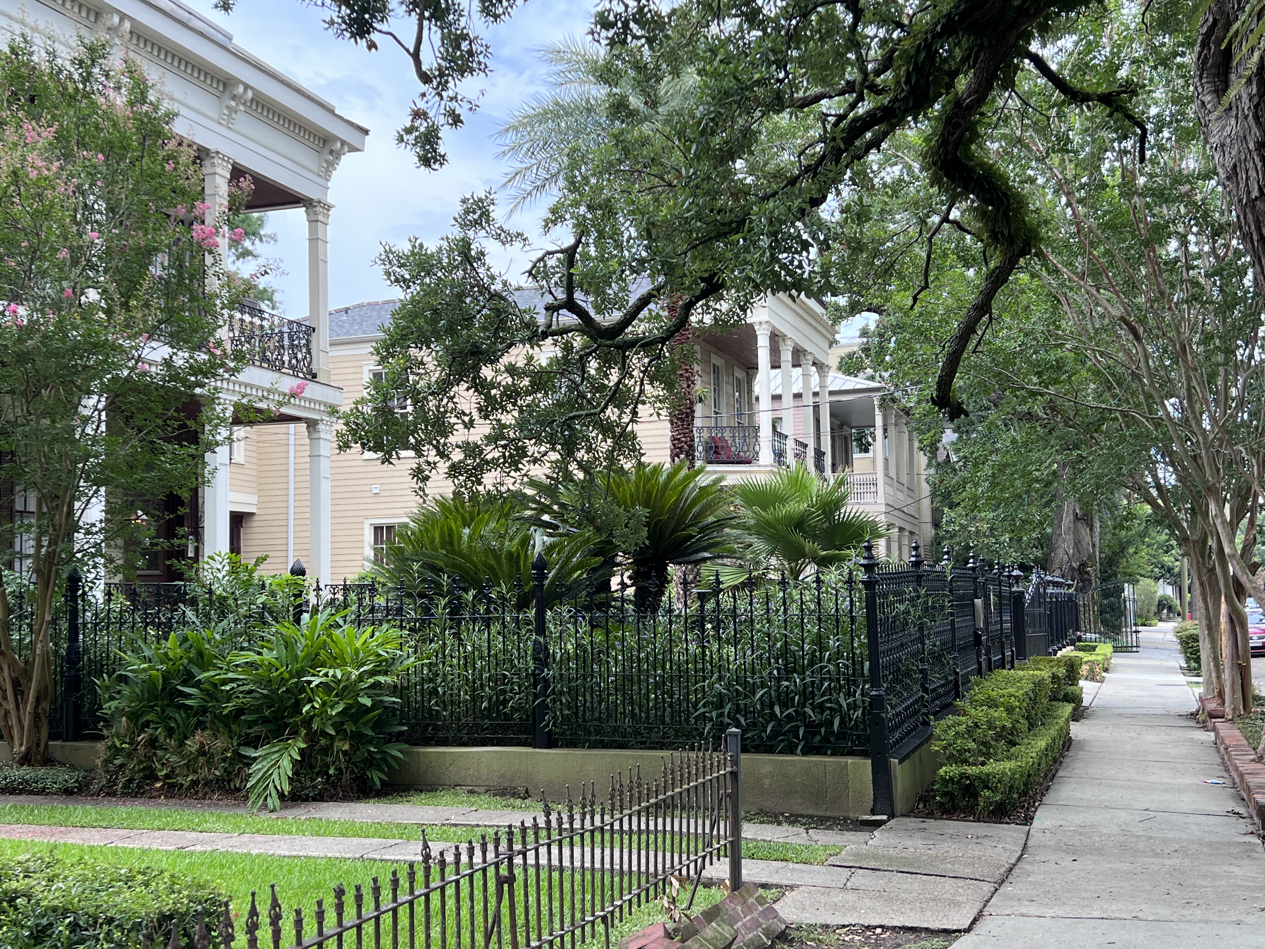 Photo of the sidewalk and lush neighborhood of the Garden District in New Orleans
