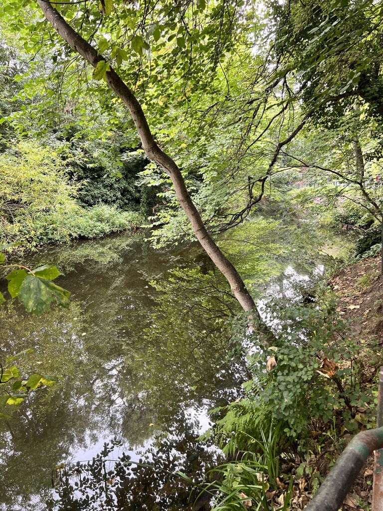Waters of Leith and pathway with verdant green foliage and glassy water