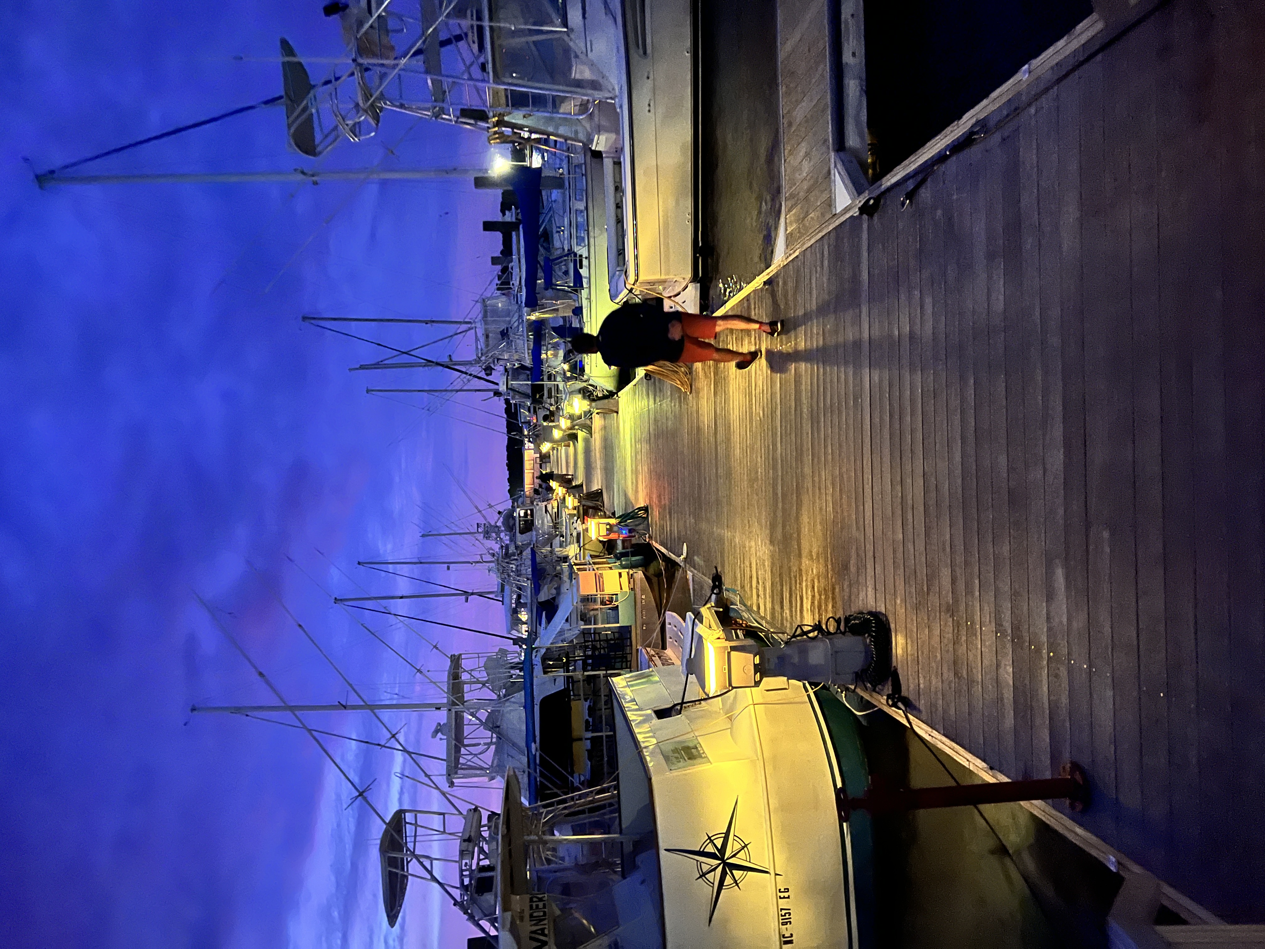Photo of a marina in the evening with boats lined up along a floating dock