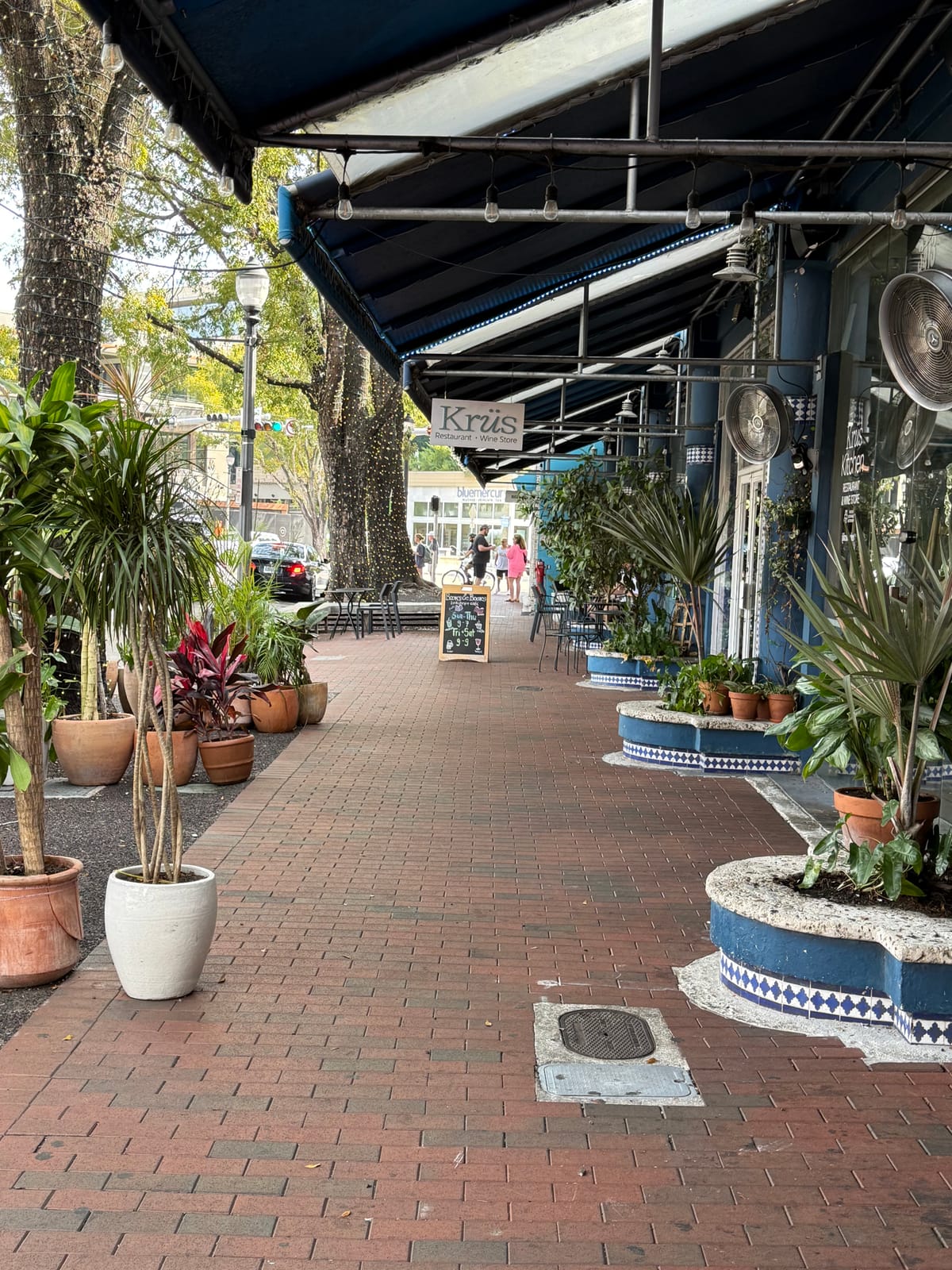 The Day I Went Off The Rails in Coconut Grove, Florida