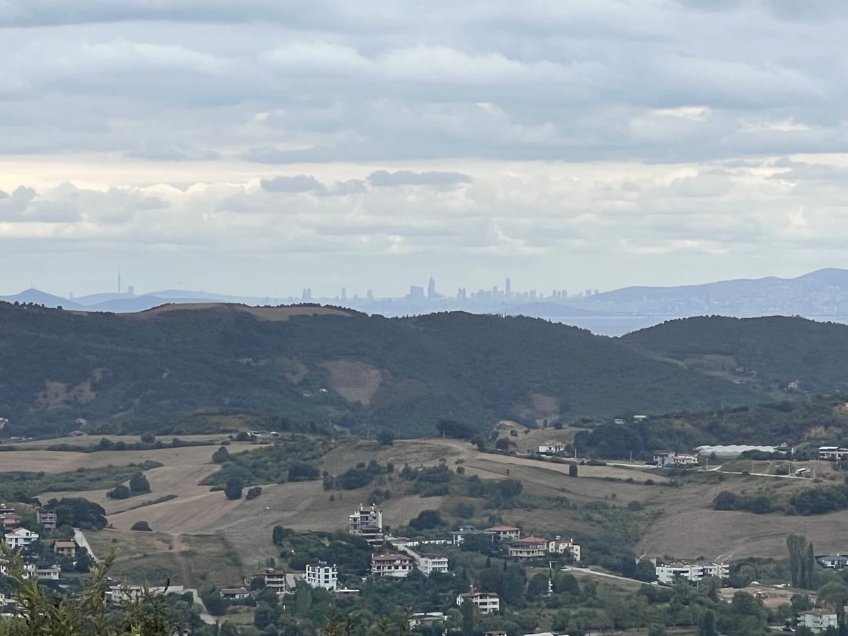 Riding a Turkish Dolmuş