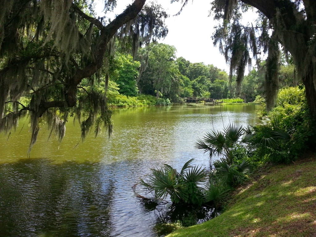 Practicing Law in The U.S.