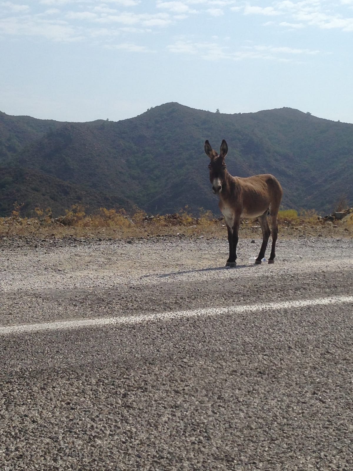 The Perils of Writing