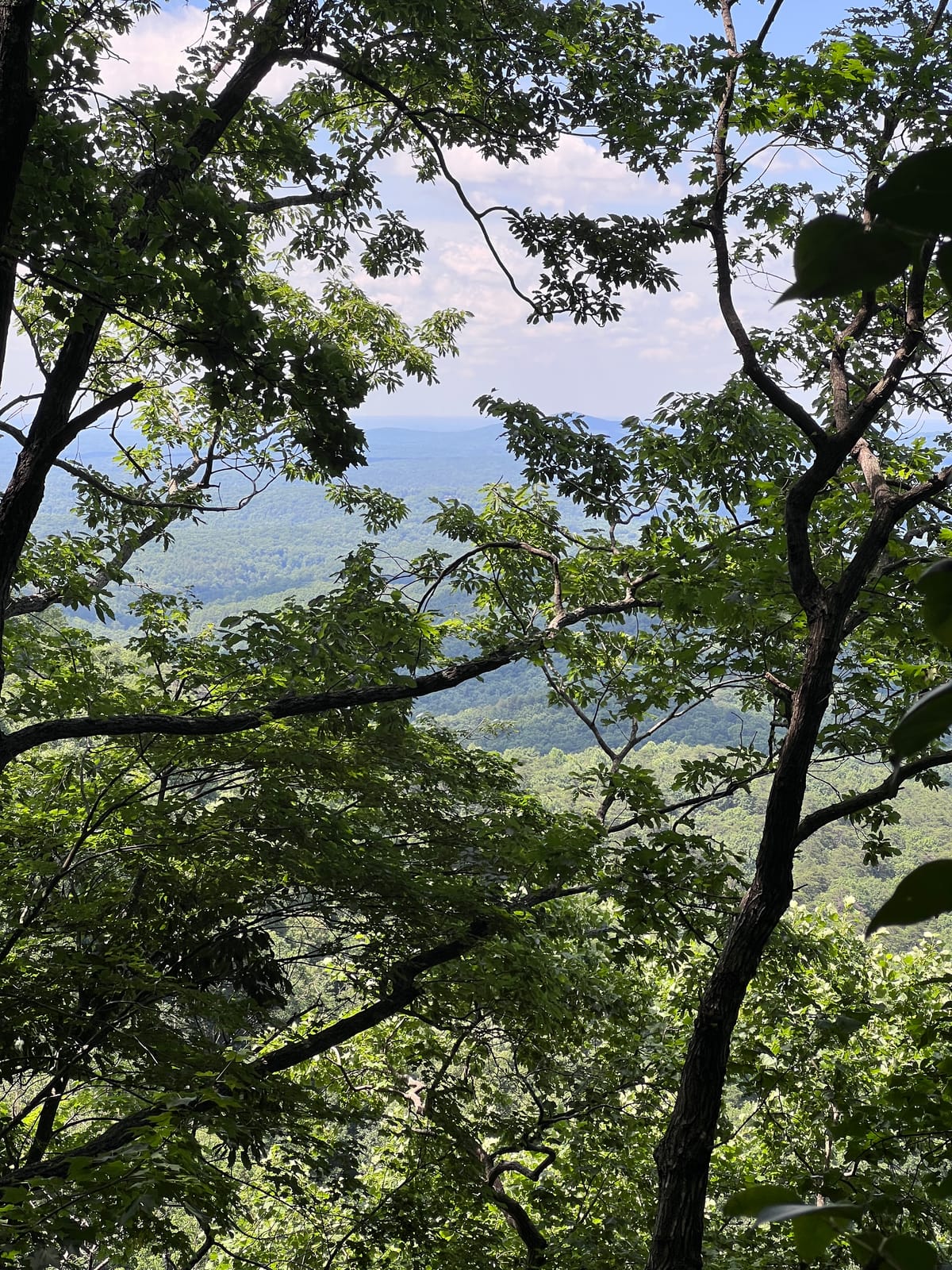 From the Mountains to the City