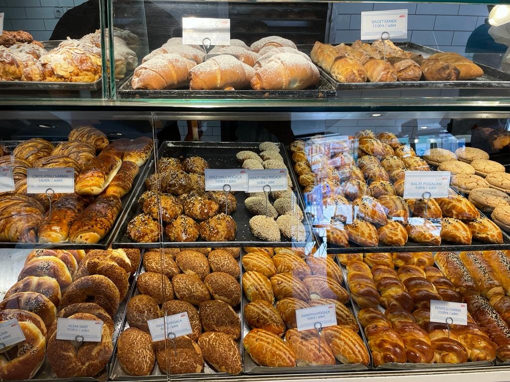 What's The Point in Roaming the World?