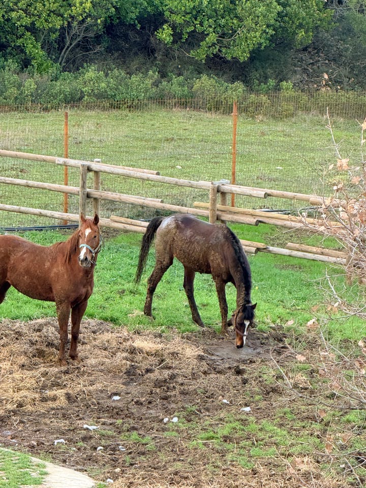 Life Is More Than Travel