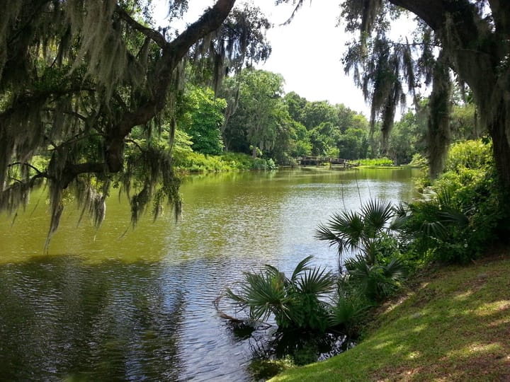 Practicing Law in The U.S.