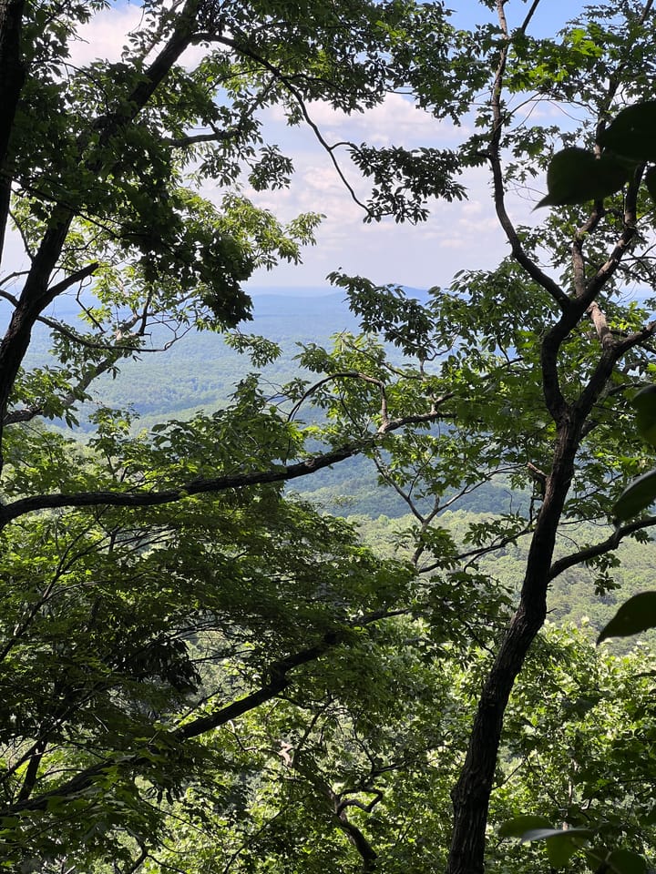 From the Mountains to the City