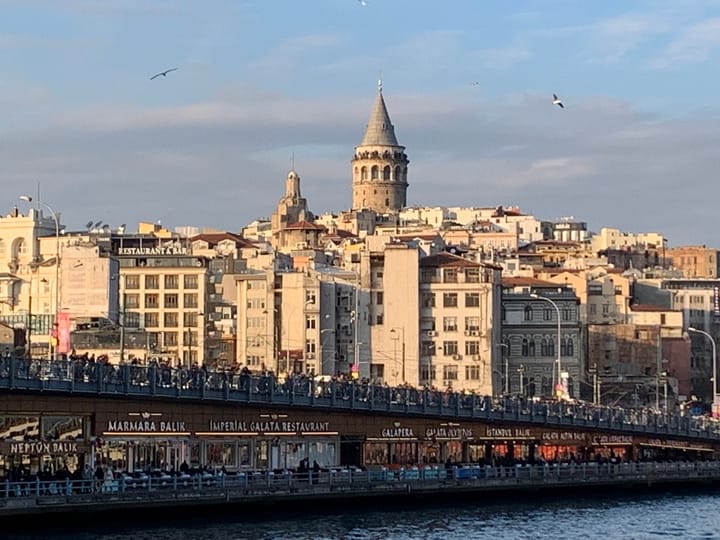 Turkish Citizenship Begins